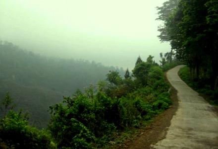 Gelar Karsa Poncokusumo 2009