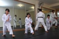 ejtcom_aikido01