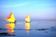 ejtcom_pasirputih2