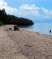 pantai-bama2