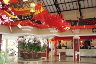 ejtcom_imlek_royal_orchid-1