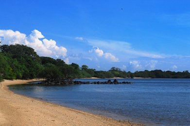 Permata Bawah Laut Hutan Baluran thumbnail