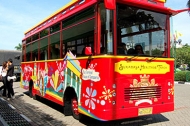 ejtcom_soht_2012