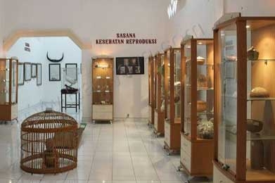 Jelajah Museum di Utara Surabaya thumbnail