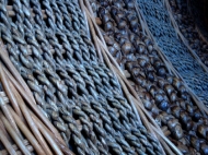 ejtcomm_rotan1
