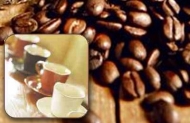 ejtcom_kopiluwak